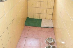 Hotel a salón pre psy