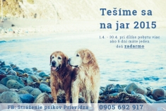 Stráženie psíkov Prievidza